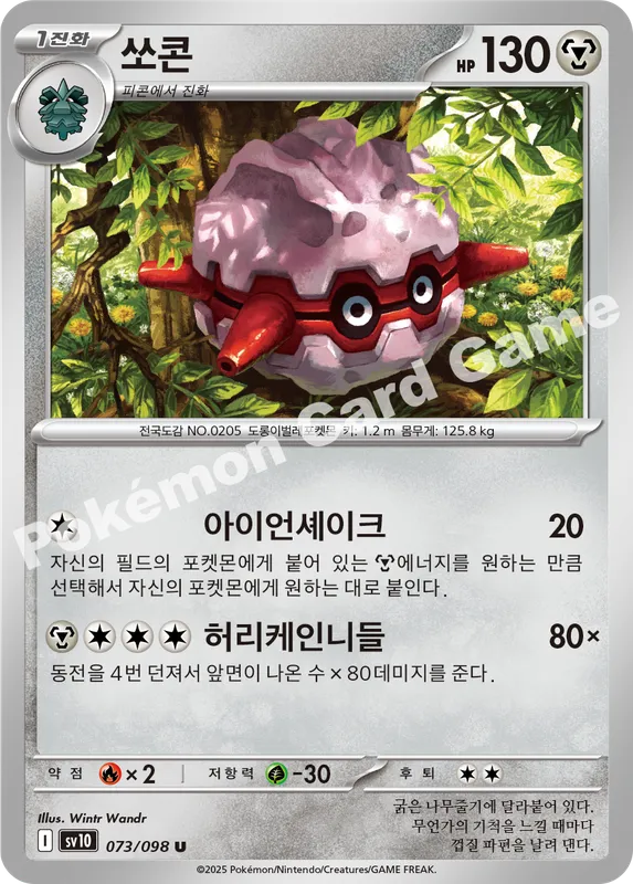 쏘콘