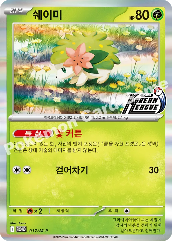 쉐이미
