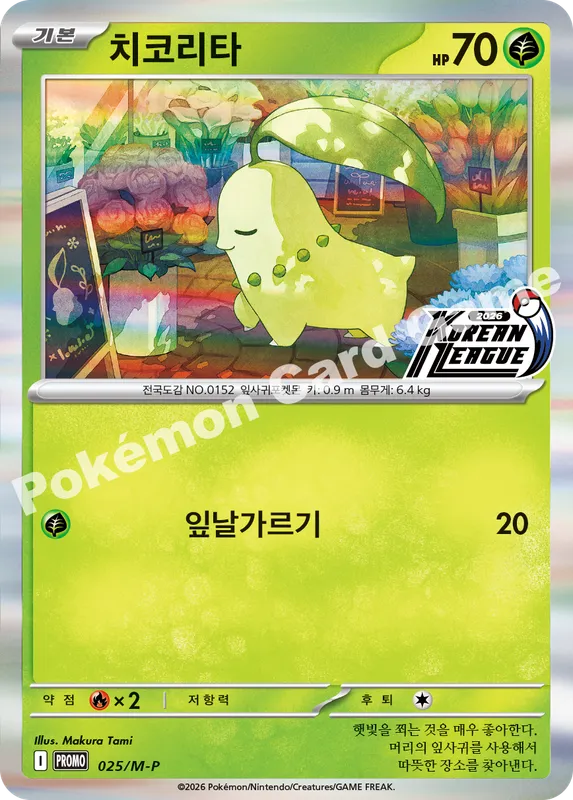 치코리타