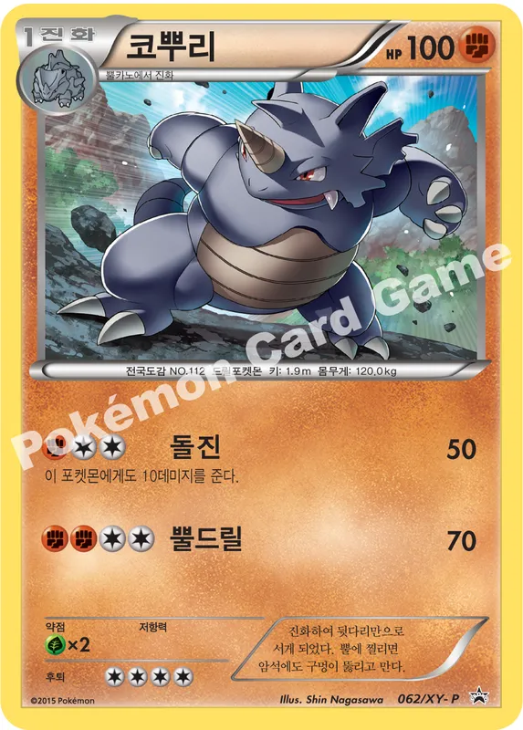 코뿌리