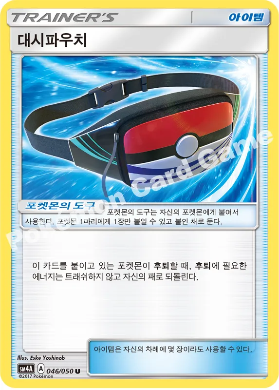 대시파우치