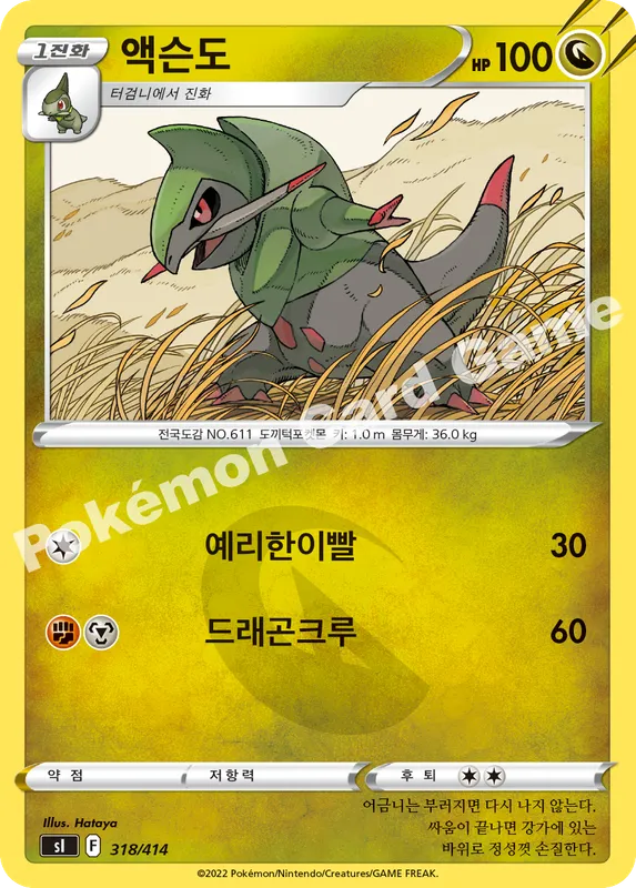 액슨도