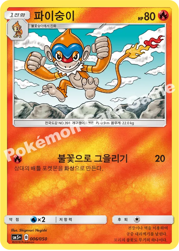 파이숭이