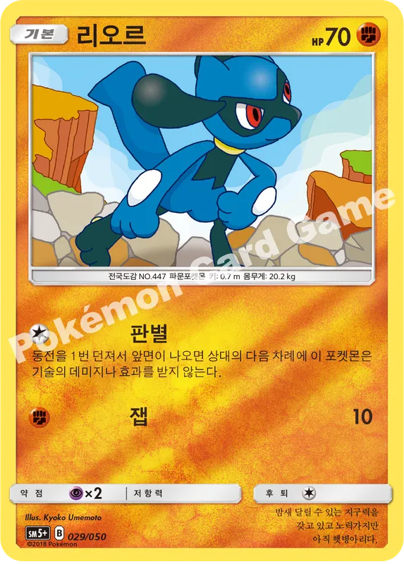 리오르