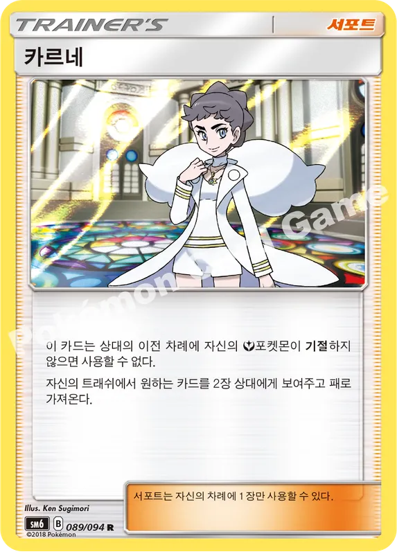 카르네