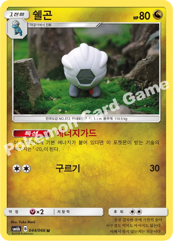 쉘곤