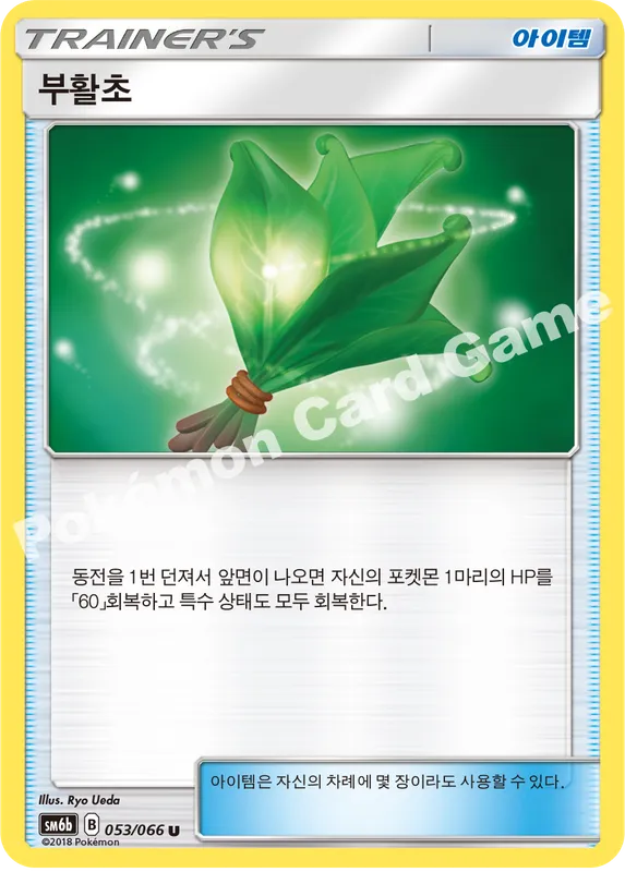 부활초