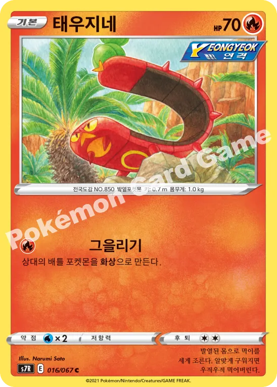 태우지네
