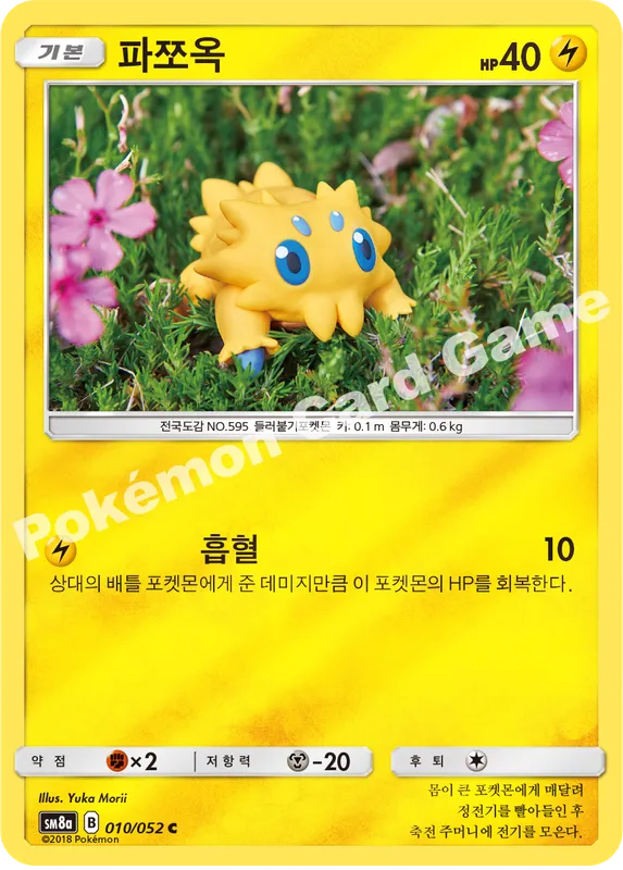 파쪼옥