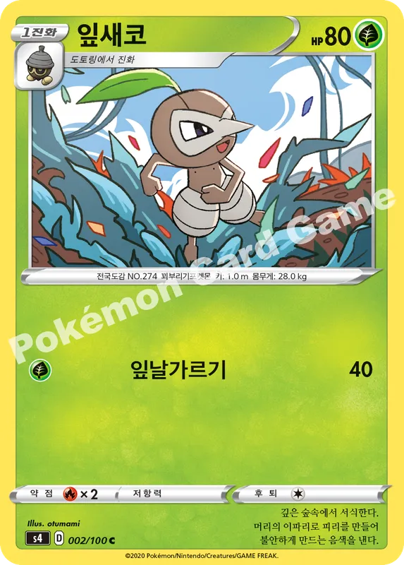 잎새코
