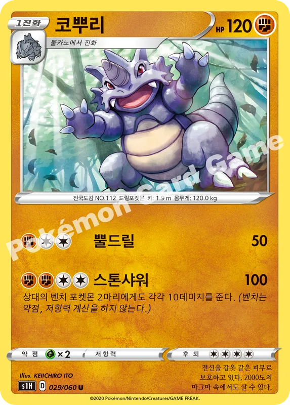 코뿌리