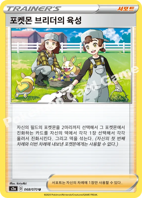 포켓몬 브리더의 육성