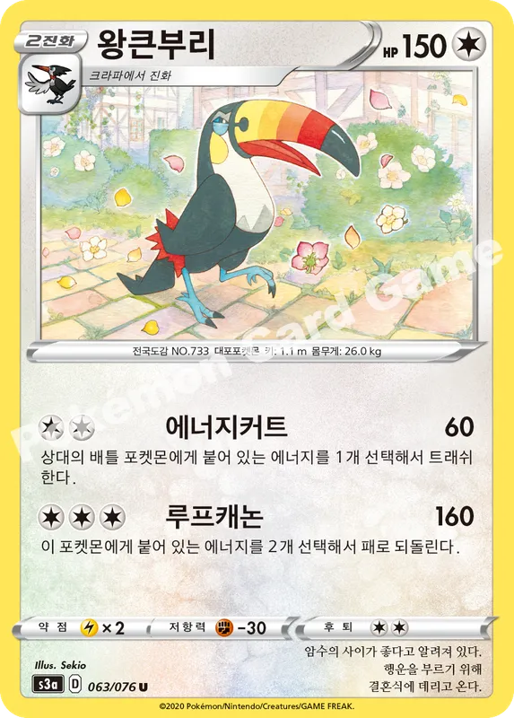 왕큰부리
