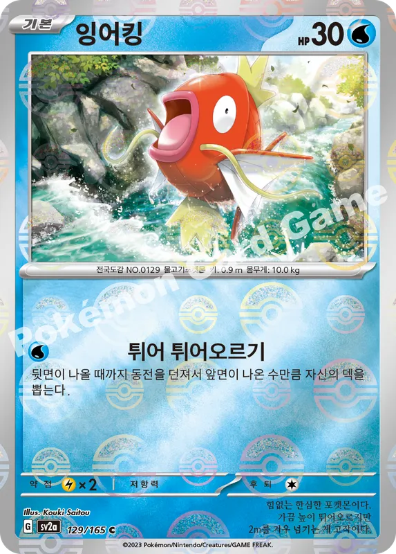 잉어킹