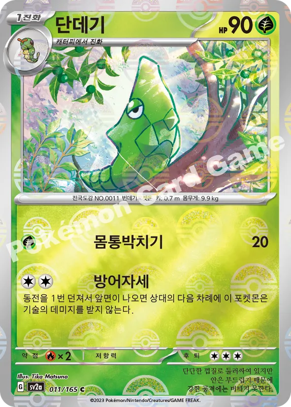 단데기