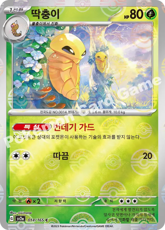 딱충이