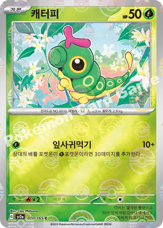 캐터피
