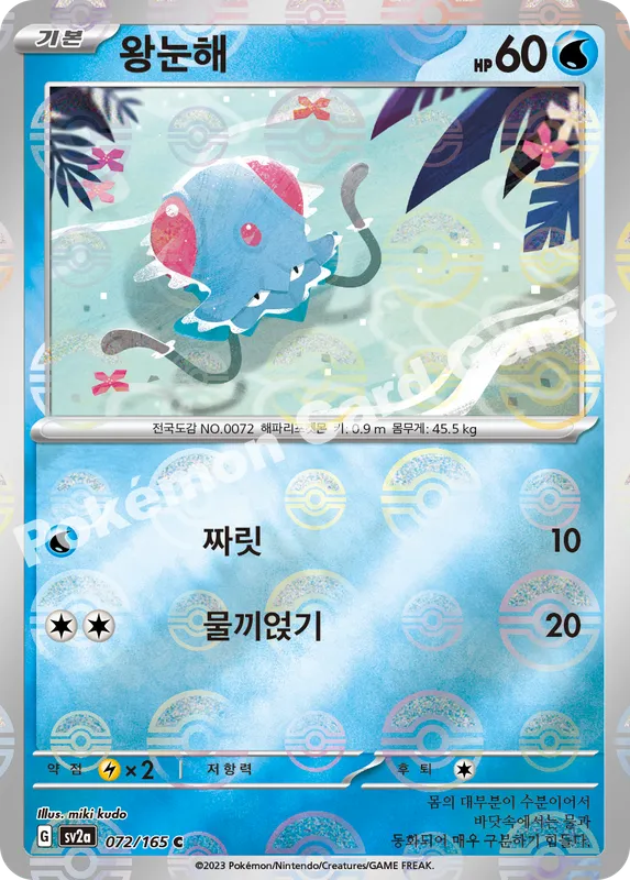 왕눈해