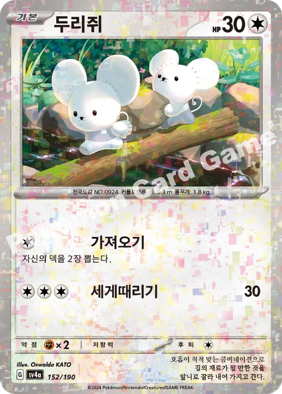 두리쥐