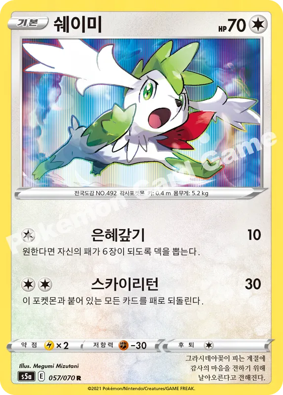 쉐이미