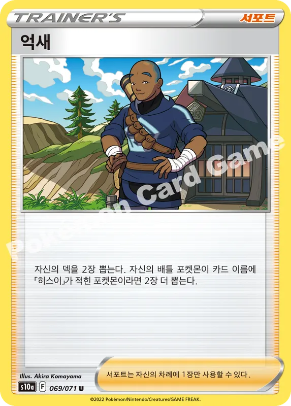 억새