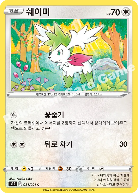 쉐이미
