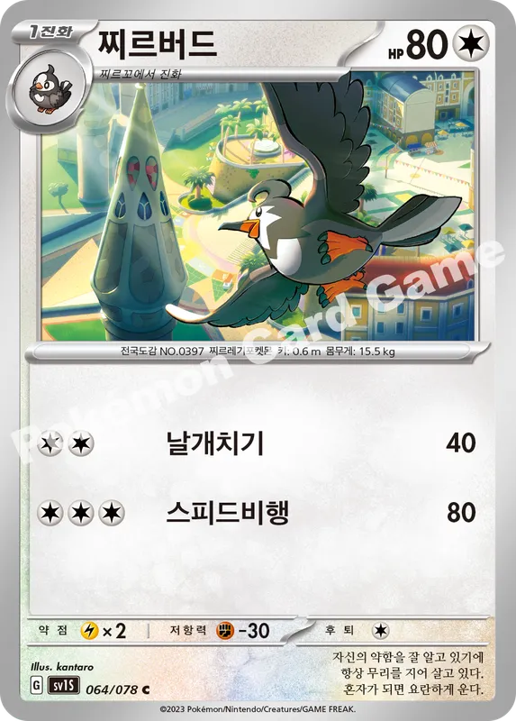 찌르버드