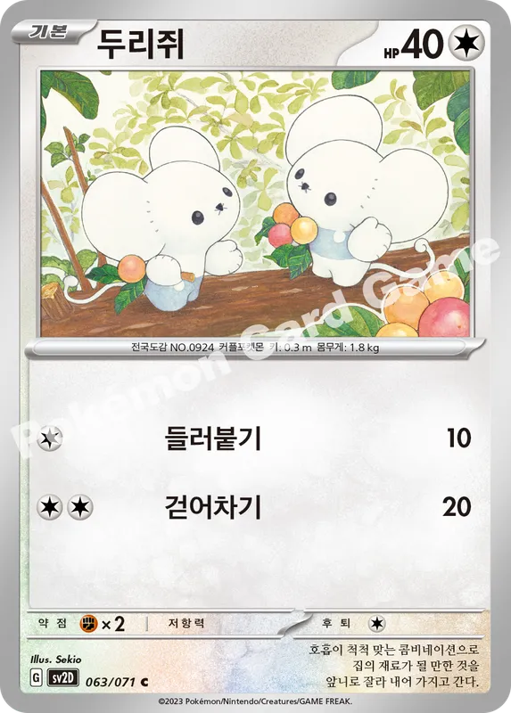두리쥐