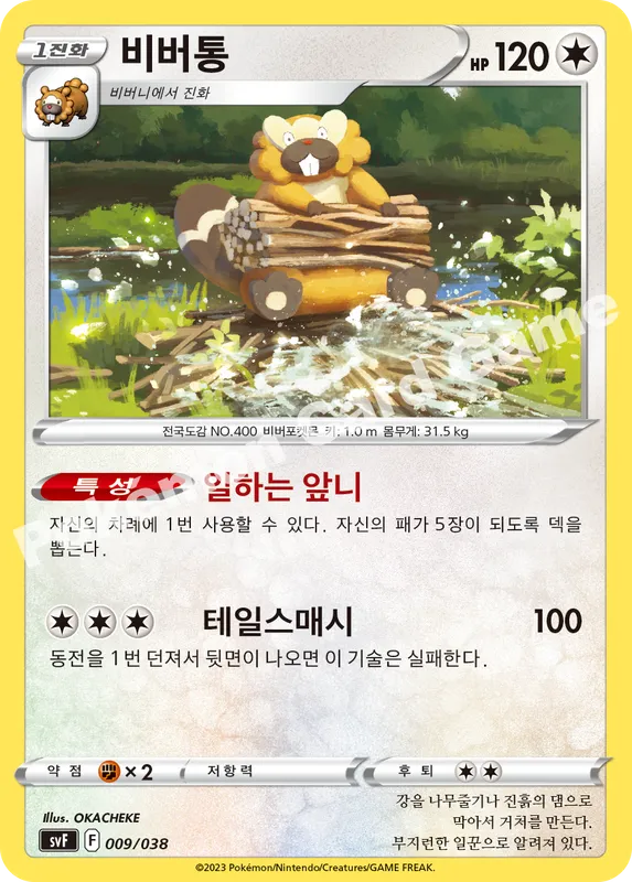비버통