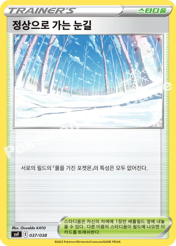 정상으로 가는 눈길
