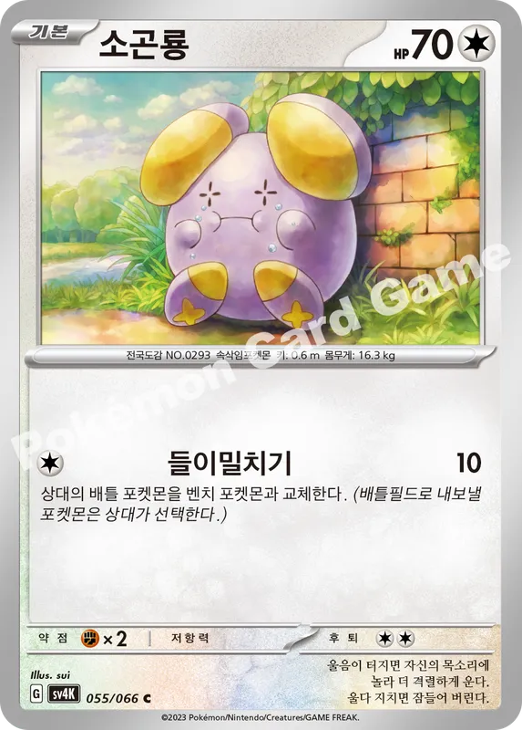 소곤룡