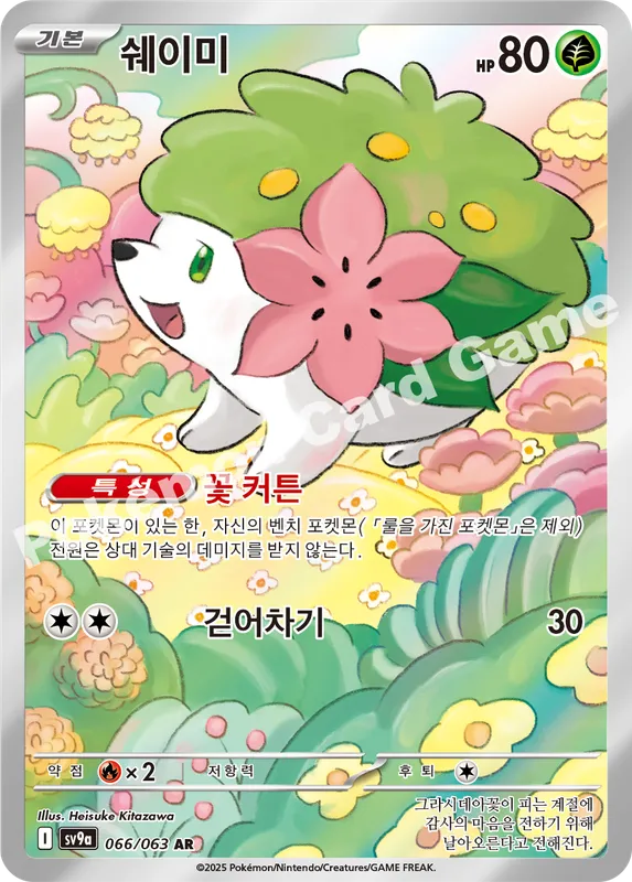 쉐이미
