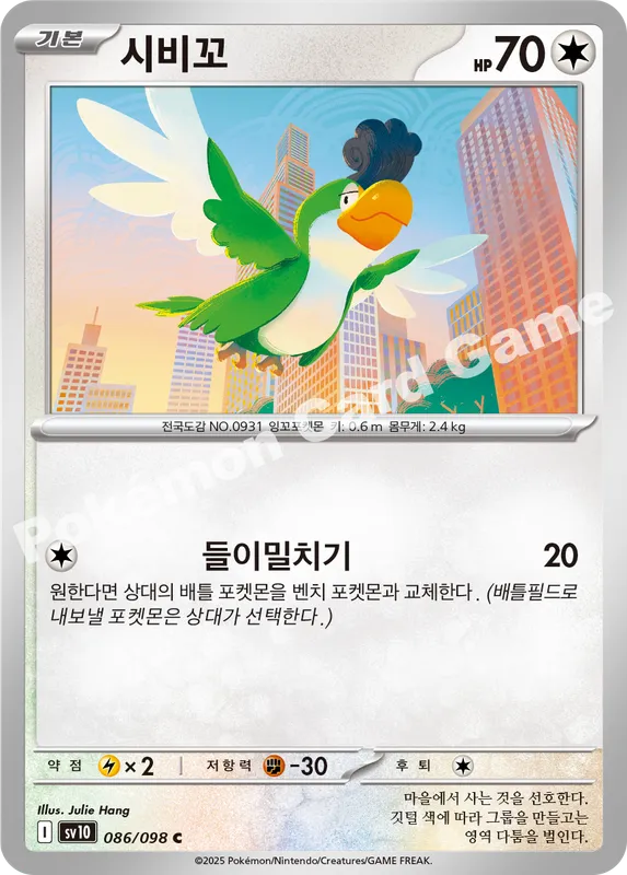 시비꼬