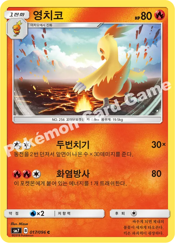 영치코