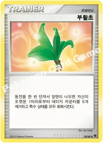 부활초