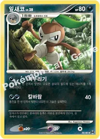 잎새코
