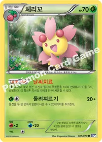 체리꼬