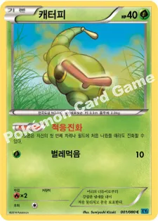캐터피