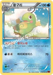 왕구리