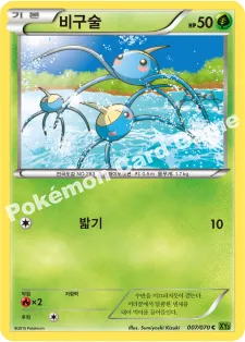 비구술