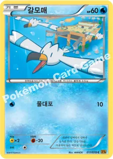 갈모매
