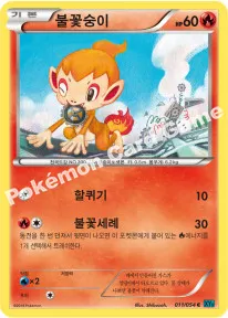 불꽃숭이