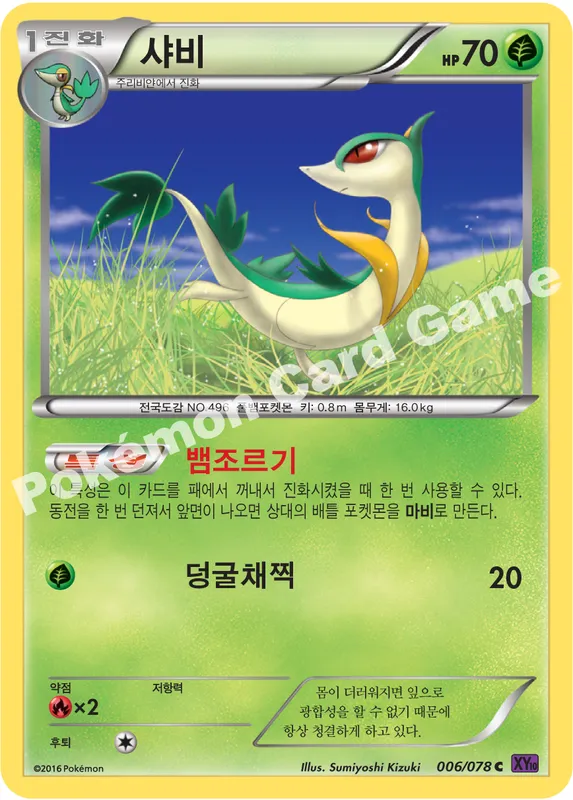 샤비