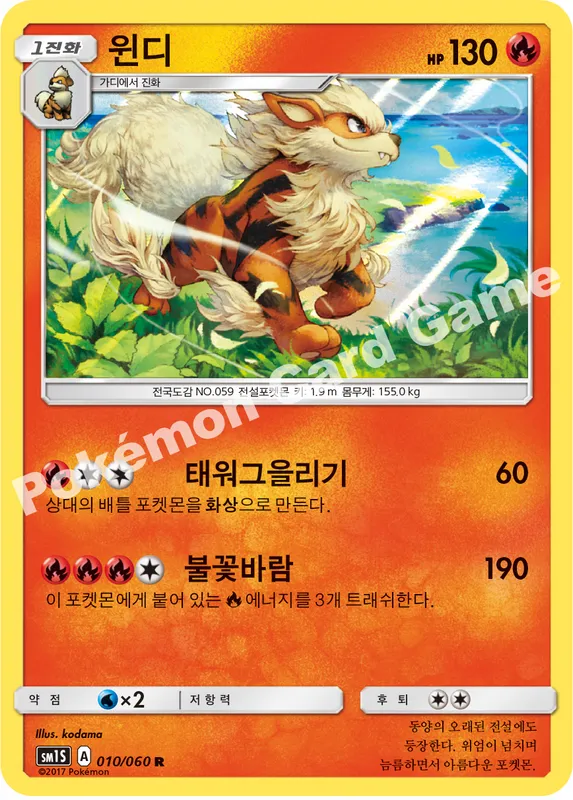 윈디