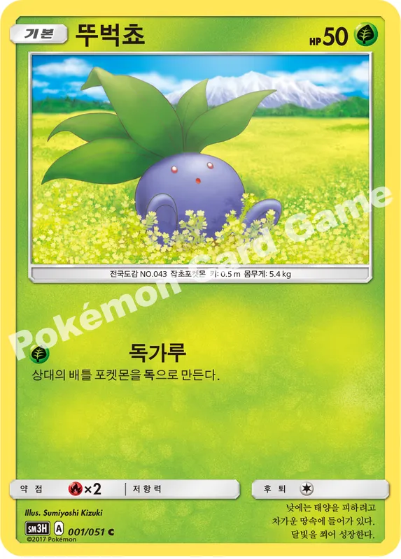 뚜벅쵸