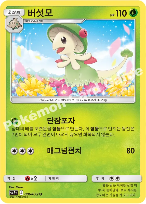 버섯모