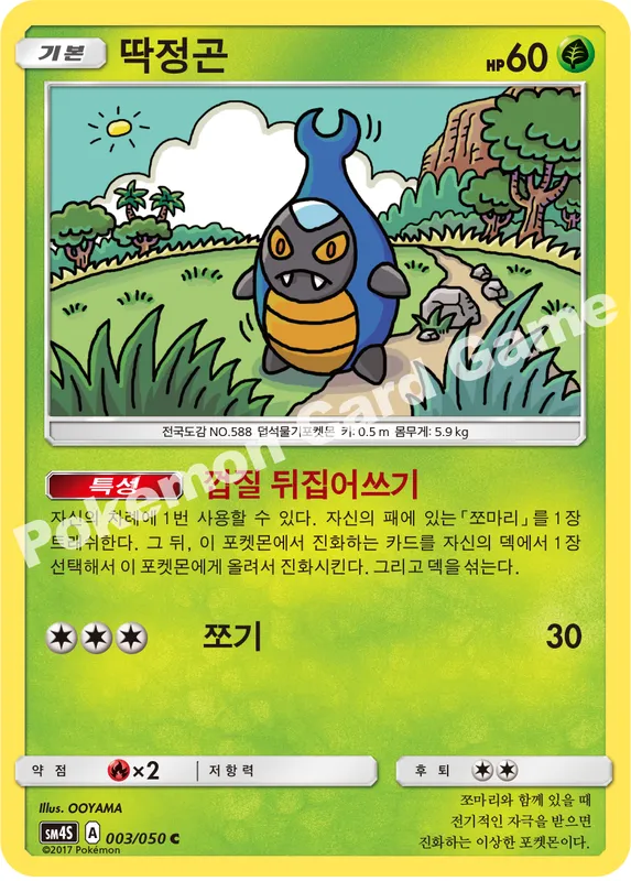 딱정곤