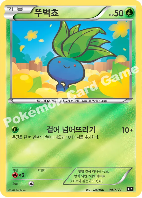 뚜벅쵸