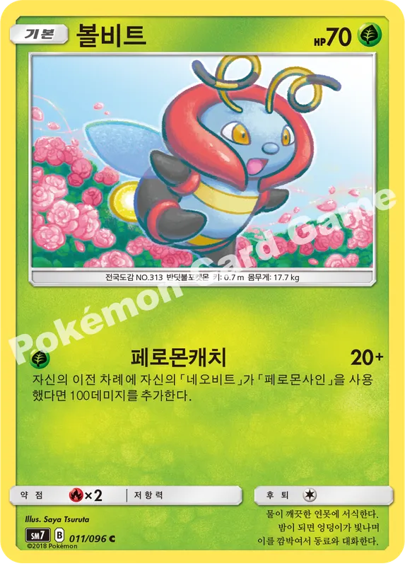 볼비트