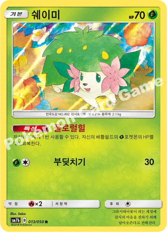 쉐이미